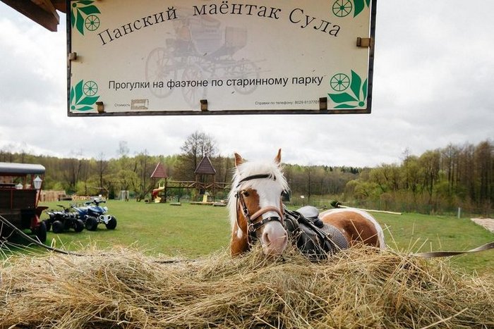 Леди Босс glaza na protiv 0041