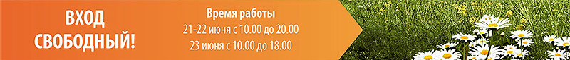 журнал директор zd3