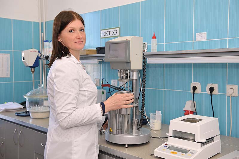 журнал Директор аудит 4