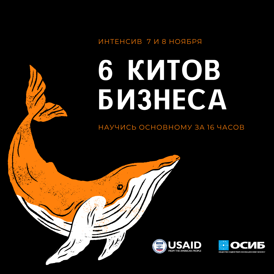 6 китов