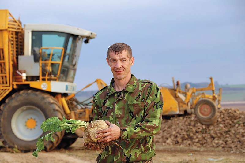 Племзавод Кореличи в одной 1