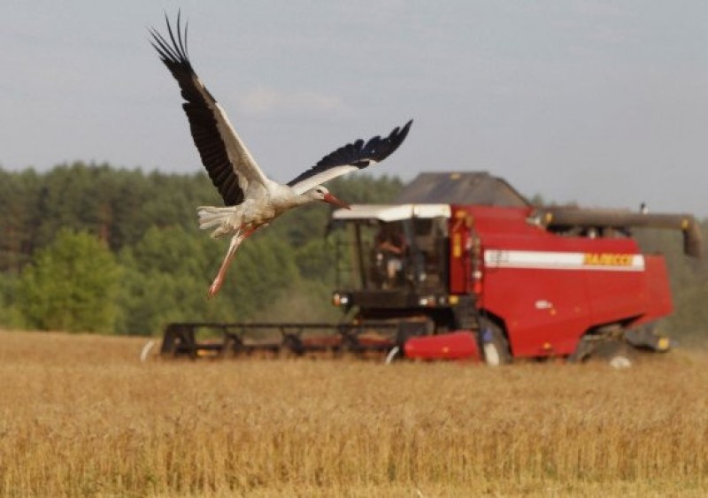agro