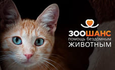 МТБанк во Всемирный день защиты животных запускает благотворительную акцию в поддержку «ЗООшанса»
