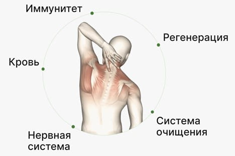 Десять сеансов аппаратного массажа в Минске Десять сеансов аппаратного массажа в Минске