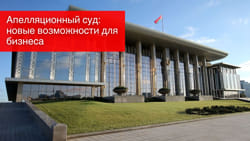 Апелляционный суд: новые возможности для бизнеса