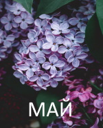 МАЙ - 2021. Итоги месяца
