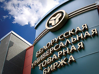 электронный аукцион для проведения госзакупок