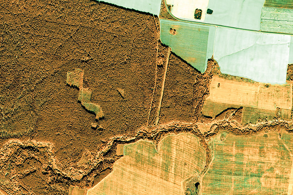 Могилевский лесхоз, масштаб 1:10000, дата съемки: 26.09.2010 WorldView-2