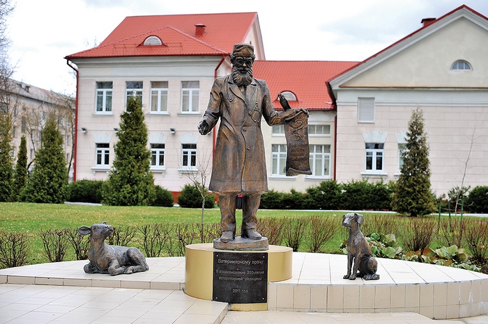 главный корпус ВГАВМ главный корпус ВГАВМ