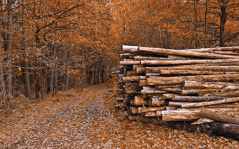 журнал Директор chtoby
