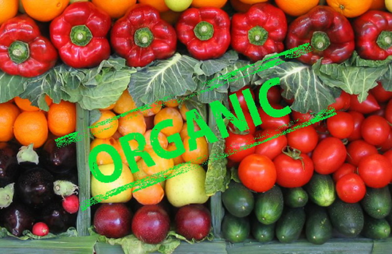 органическая сельхозпродукция Органика 1